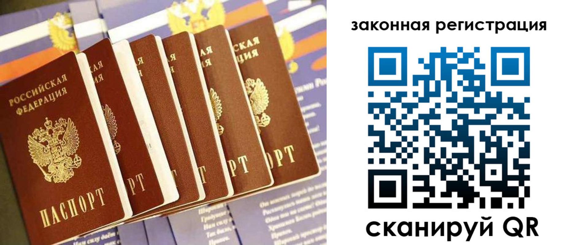 временная регистрация госуслуги в Светлогорске