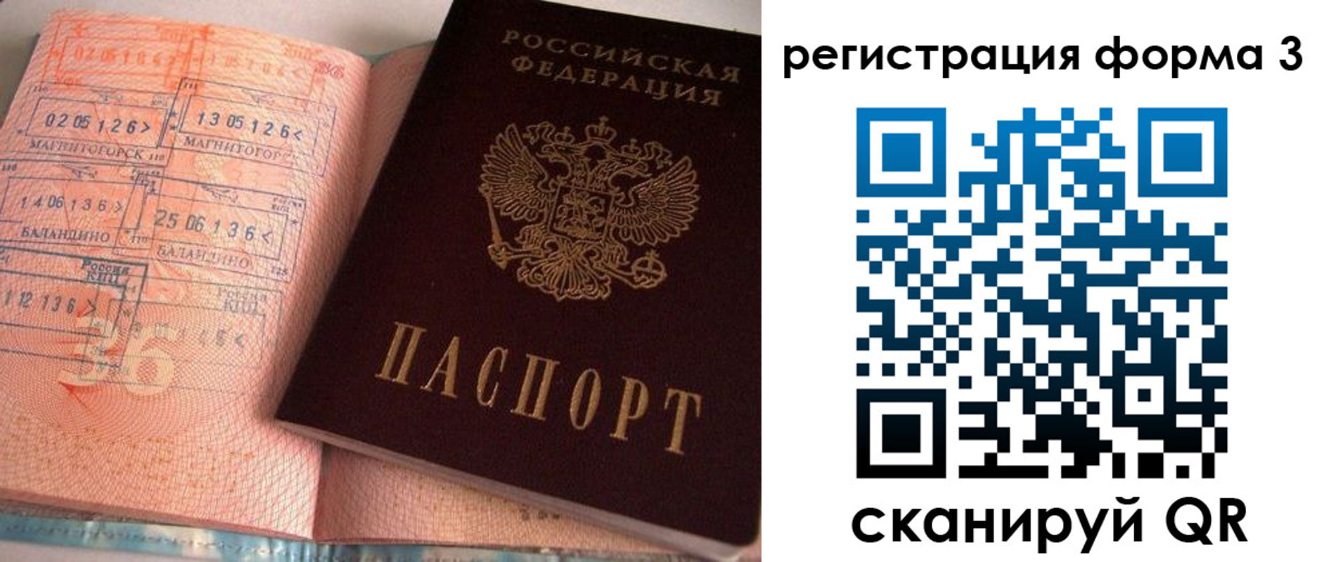 временная регистрация поиск в Светлогорске